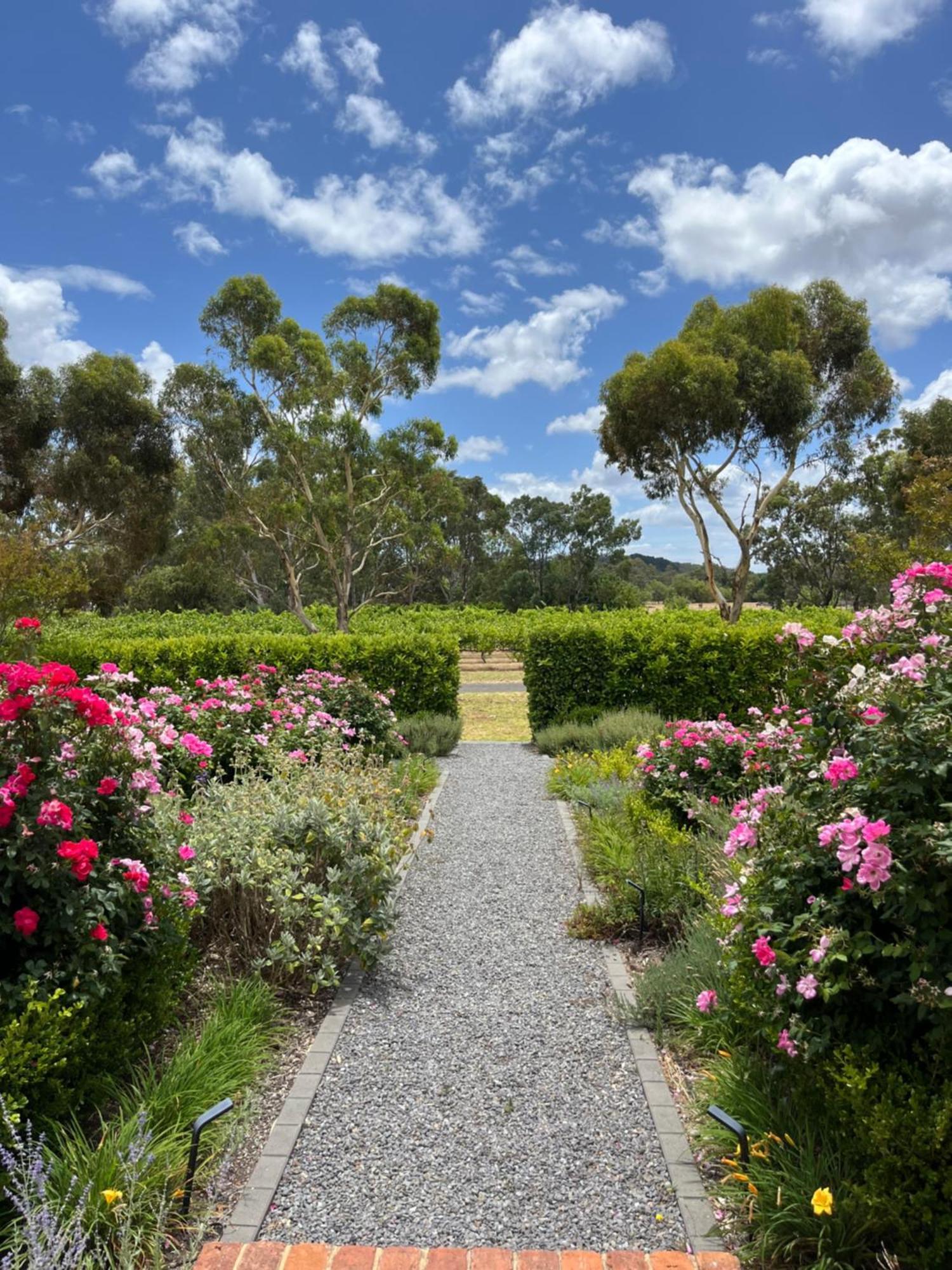 Oxenberry Farm Villa Mclaren Vale Eksteriør billede